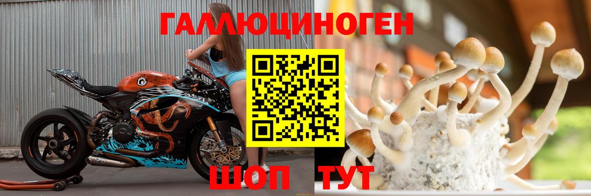 Псилоцибиновые грибы GOLDEN TEACHER  Вход с VPN  Чита  Галлюциногенные грибы Magic Shrooms 