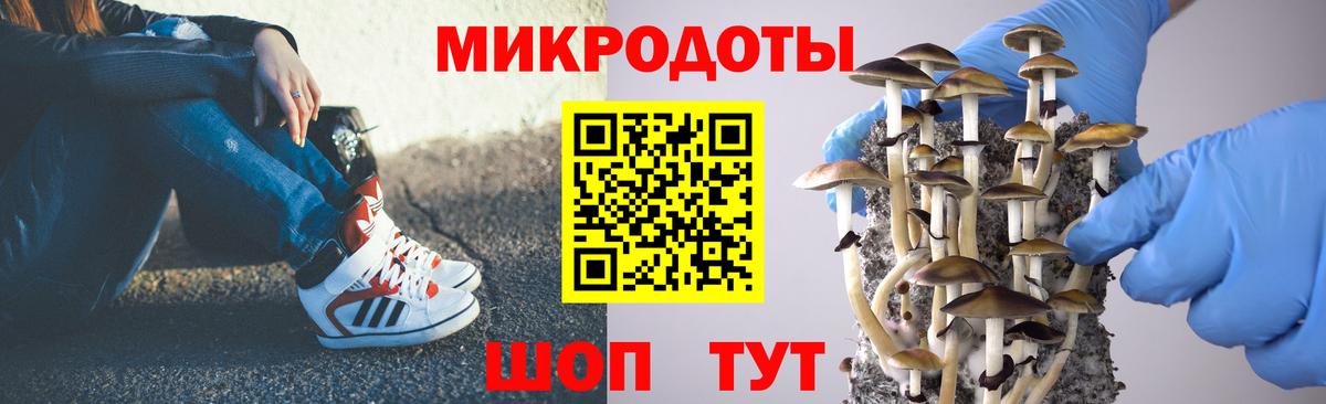 Псилоцибиновые грибы мицелий Чита